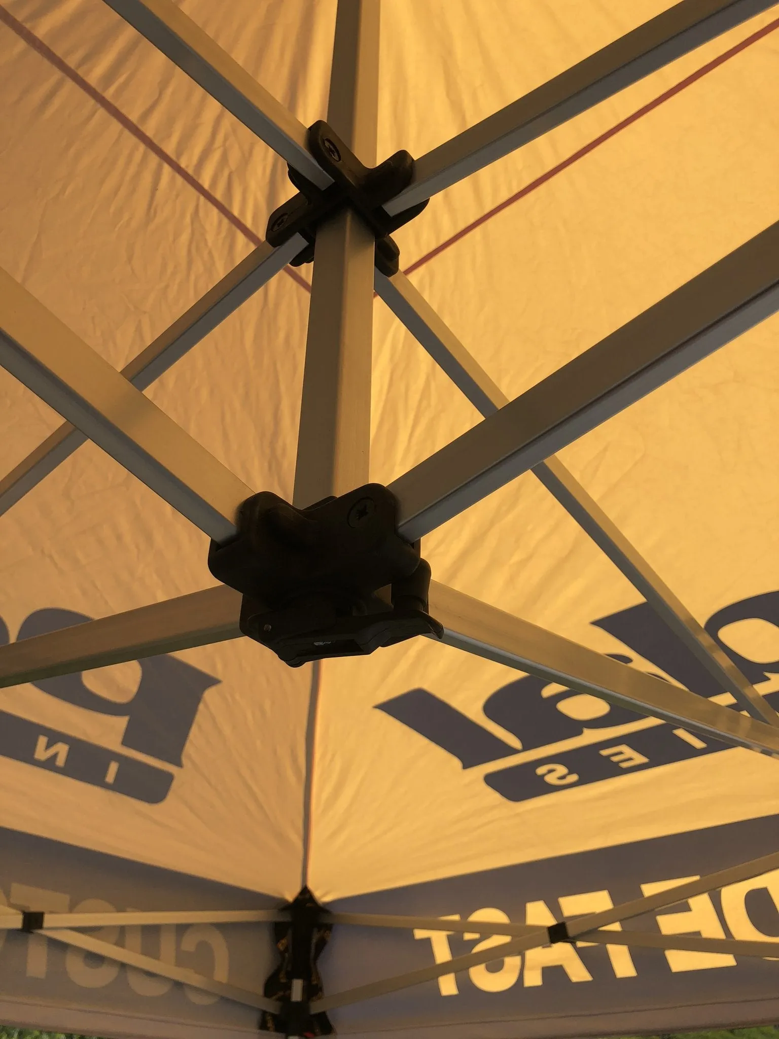 Avout CANOPY 2019 - SHIPS FREE
