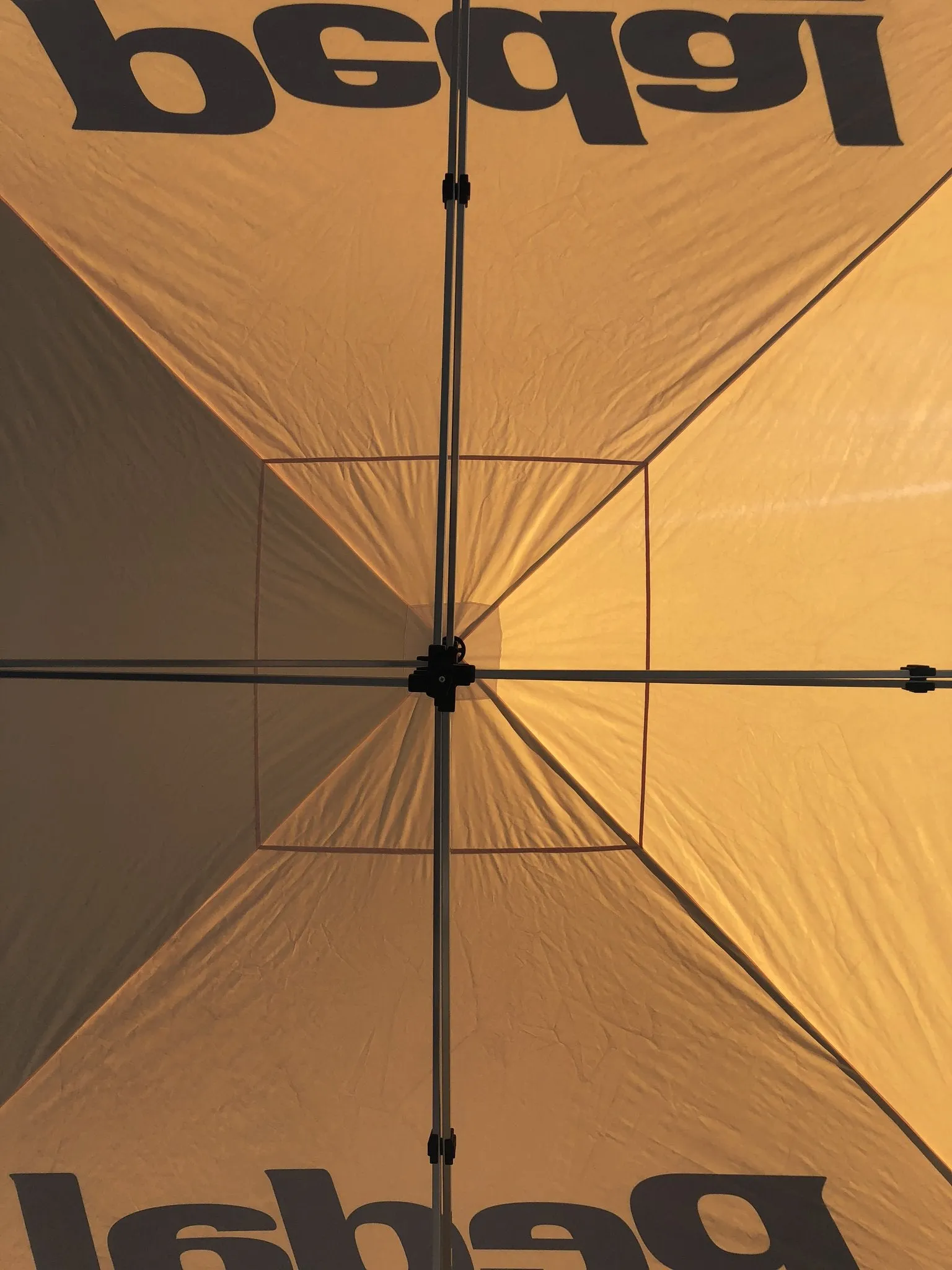 Avout CANOPY 2019 - SHIPS FREE