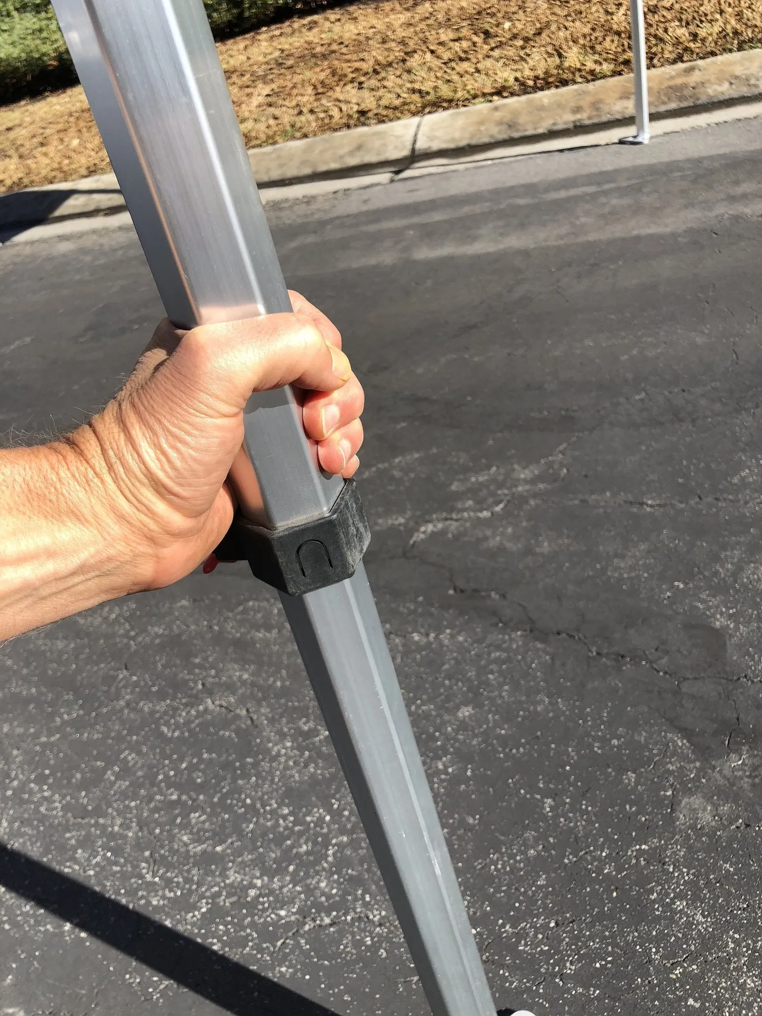 Avout CANOPY 2019 - SHIPS FREE