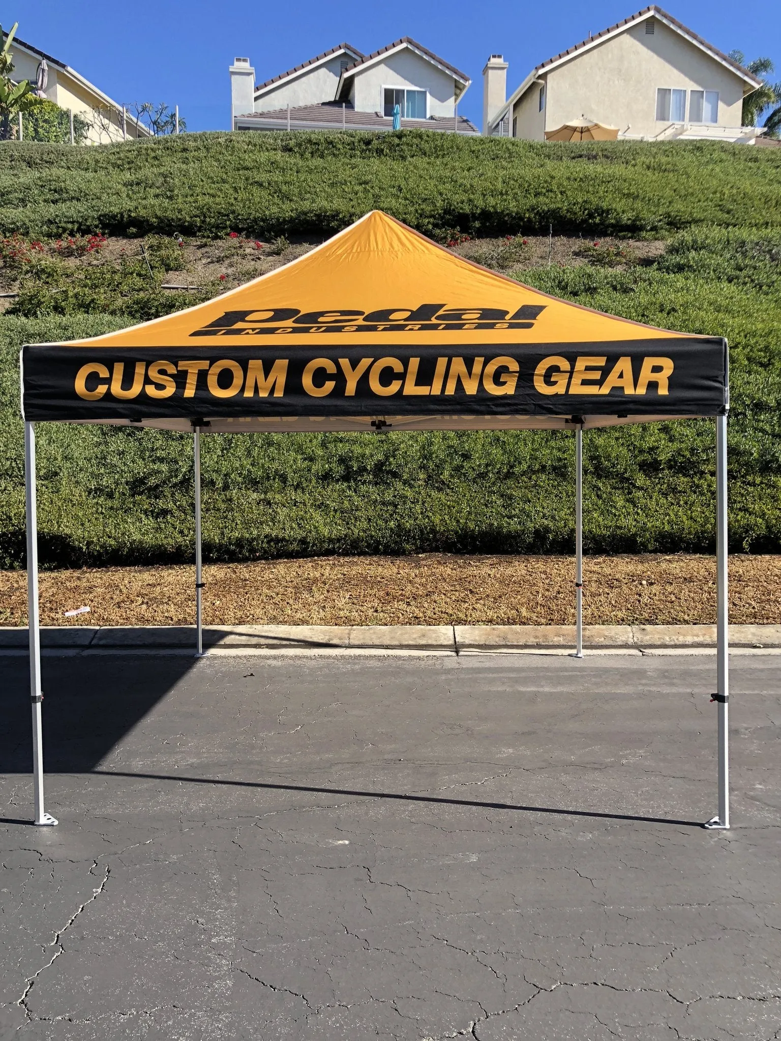 Avout CANOPY 2019 - SHIPS FREE