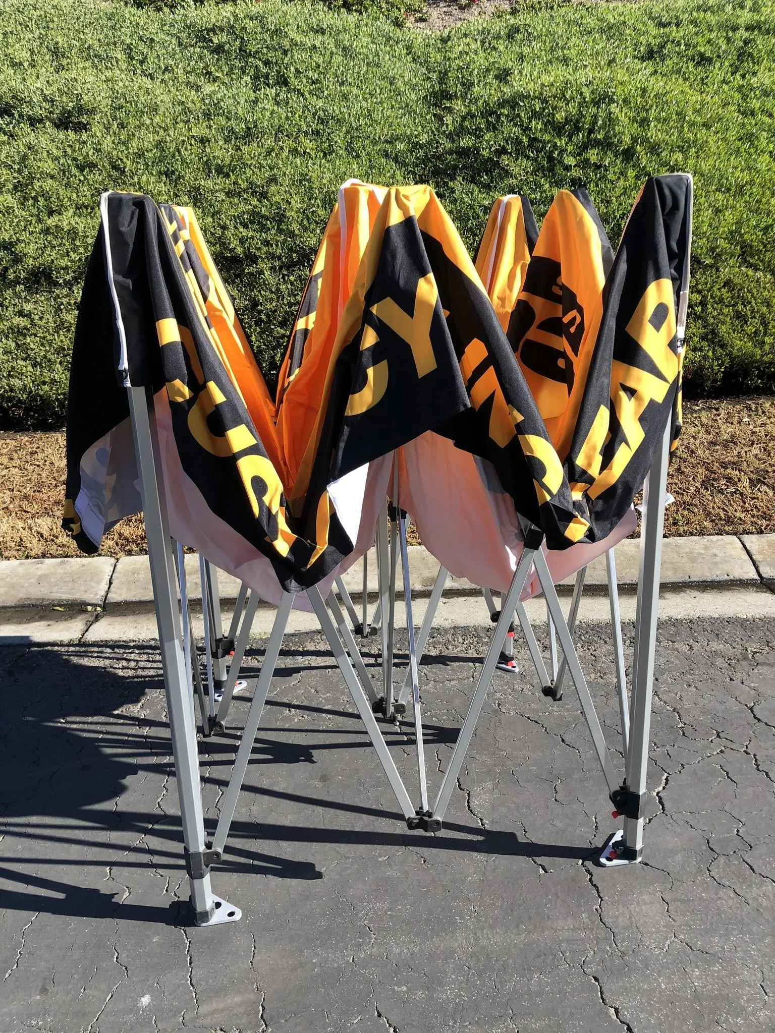Avout CANOPY 2019 - SHIPS FREE