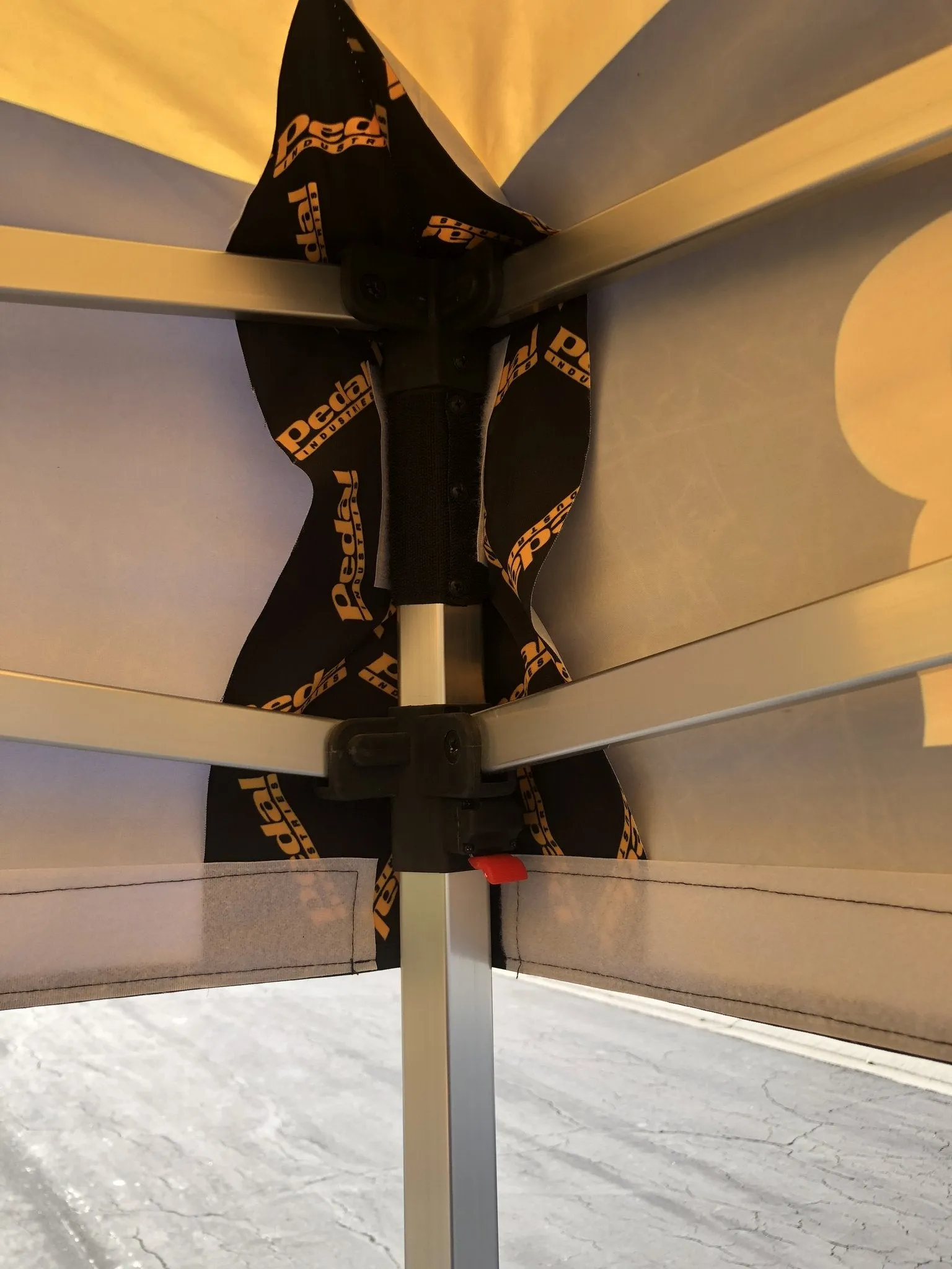 Avout CANOPY 2019 - SHIPS FREE
