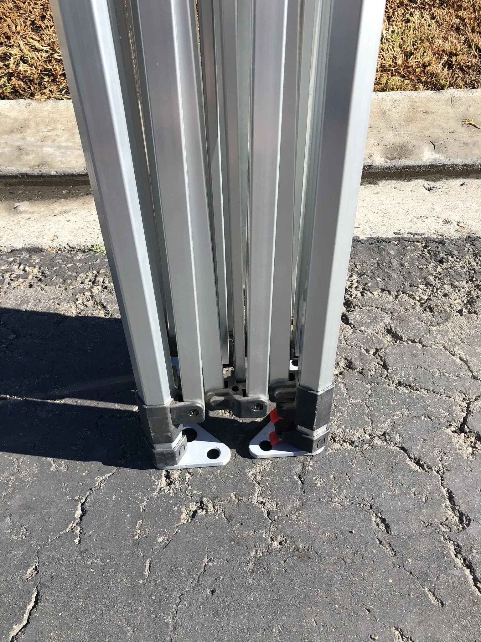 Avout CANOPY 2019 - SHIPS FREE