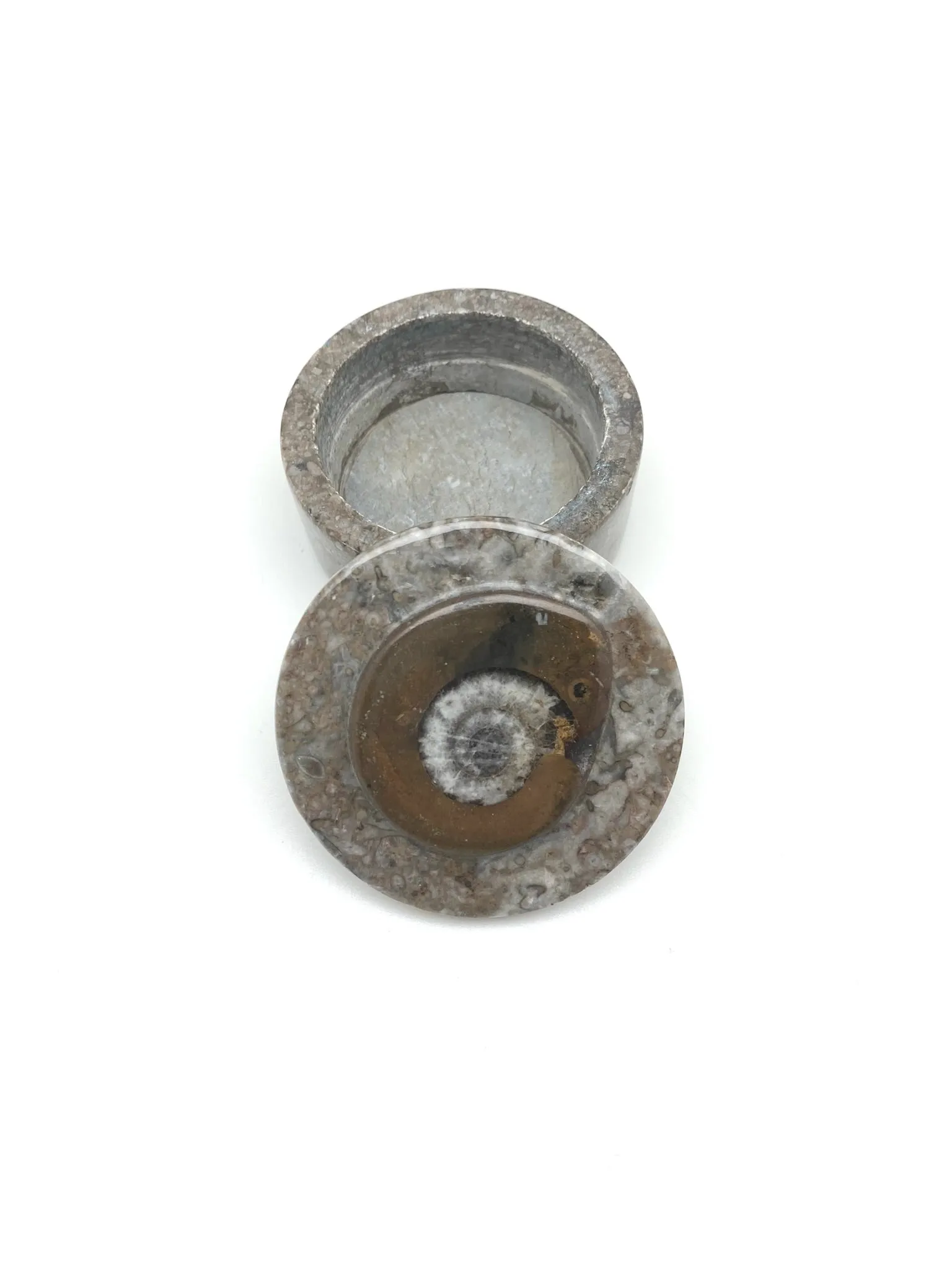 Fossil Box