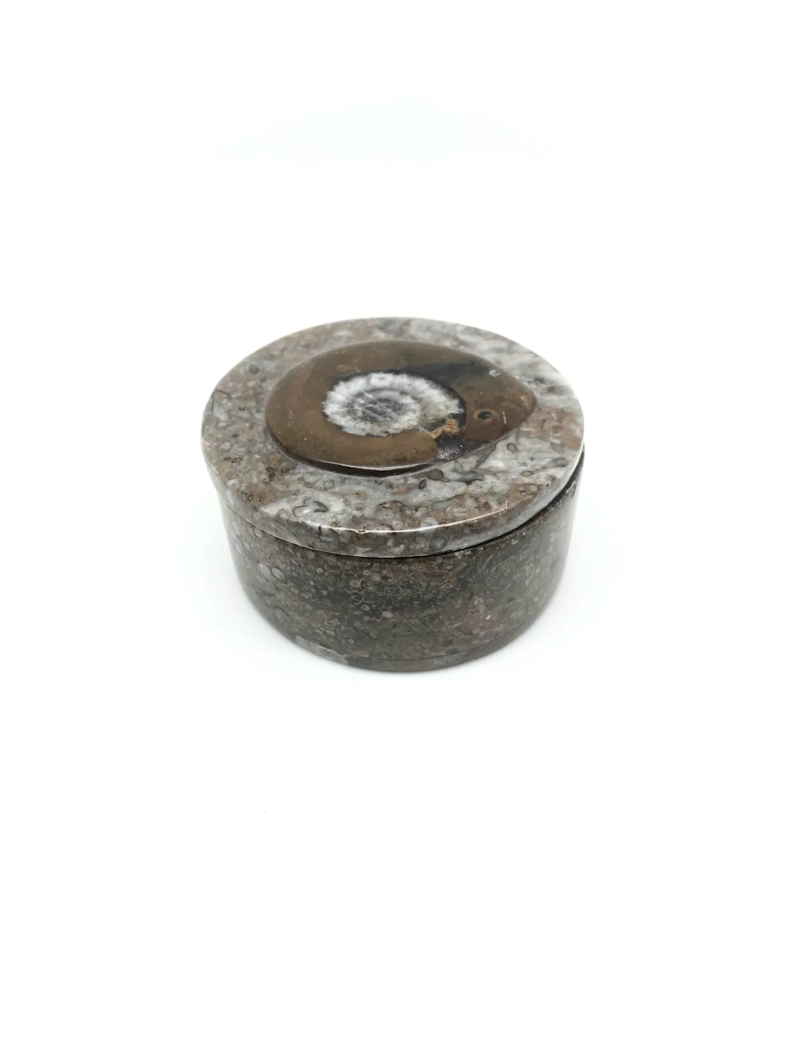 Fossil Box